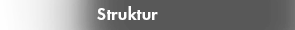 Struktur